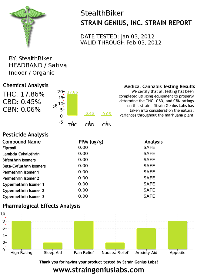 Headband Report